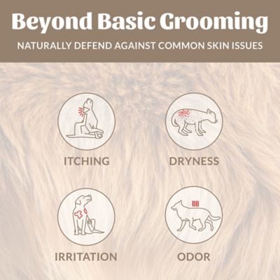 Image showing  Probiotic Shampoo Plus Conditioner Dog of the Woods