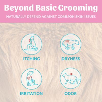 Image showing  Probiotic Shampoo Plus Conditioner Happy Puppy