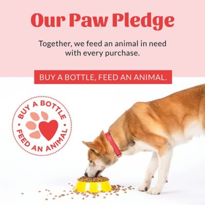 Image showing 9 th Skout's Honor Honeysuckle Scented Probiotic Detangler for Pets