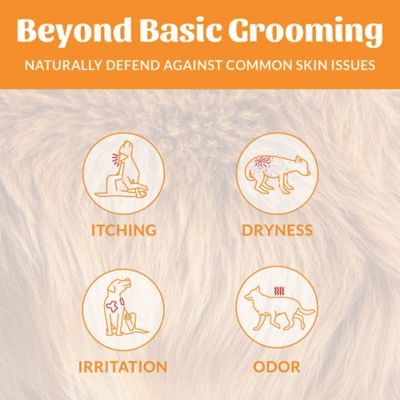 Image showing  Honeysuckle Scented Probiotic Deodorizer for Pets