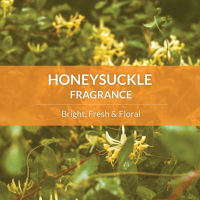 Image showing 6 th Skout's Honor Honeysuckle Scented Probiotic Deodorizer for Pets