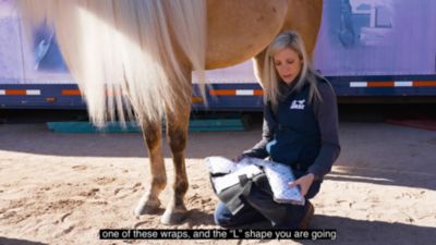 Image showing  Suspensory Wrap, 2 ct., IHF2750PX