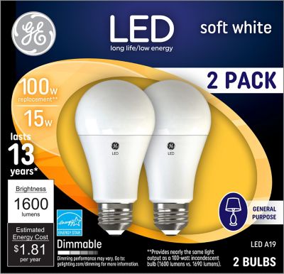 GE 100 Watt Equivalent 1,600-Lumen A19 General Purpose LED Light Bulbs, Soft White, 2,700K, 2-Pack