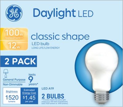 GE LED Light Bulbs, 100 Watts Replacement, Daylight, A19 General Purpose Bulbs (2 Pack)