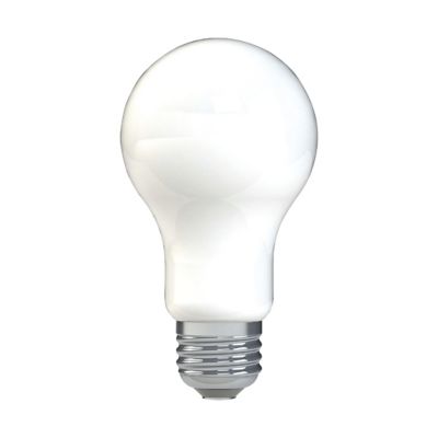 Image showing  100 Watt Equivalent 1,520-Lumen A19 General Purpose LED Light Bulbs, Daylight, 5,000K, 2-Pack