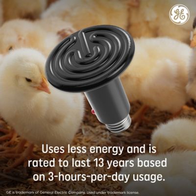 Image showing  Ceramic Heat Lamp 100 Watt (1 Pack)