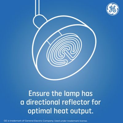 Image showing  Ceramic Heat Lamp 100 Watt (1 Pack)