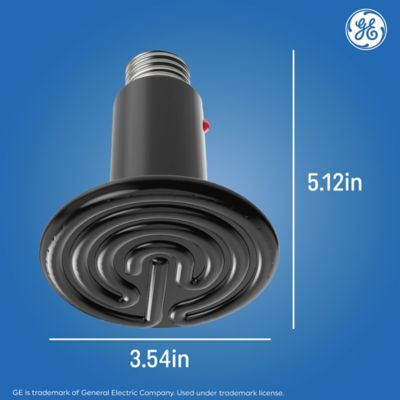 Image showing  Ceramic Heat Lamp 100 Watt (1 Pack)