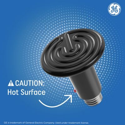 Image showing 7 th GE Ceramic Heat Lamp 100 Watt (1 Pack)