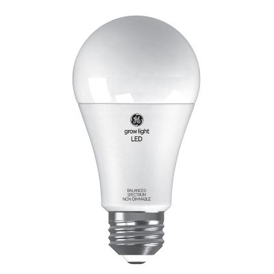 Image showing  Grow LED Light Bulb for Seeds and Greens, A19 Plant Light Bulb, Balanced Light Spectrum