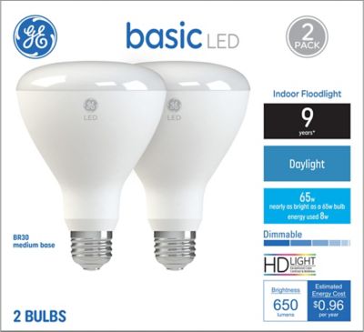 GE Basic Daylight LED Indoor Floodlight Bulb 65 Watt Replacement (2 Pack)