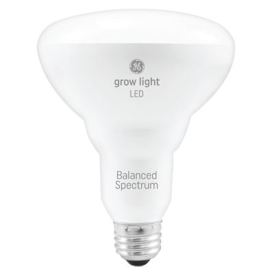 Image showing  65 Watt Equivalent Replacement LED Light Bulb for Seeds and Greens Grow Lights