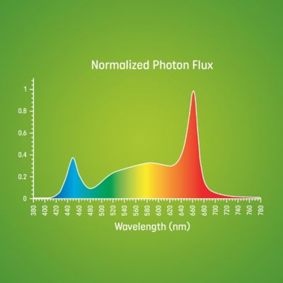 Image showing 7 th GE 65 Watt Equivalent Replacement LED Light Bulb for Seeds and Greens Grow Lights