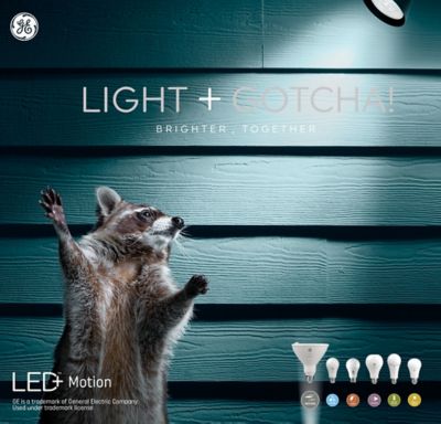 Image showing 5 th GE 14 Watt Equivalent 1,150-Lumen LED+ Motion Outdoor Floodlight Bulb, Warm White, 3,000K