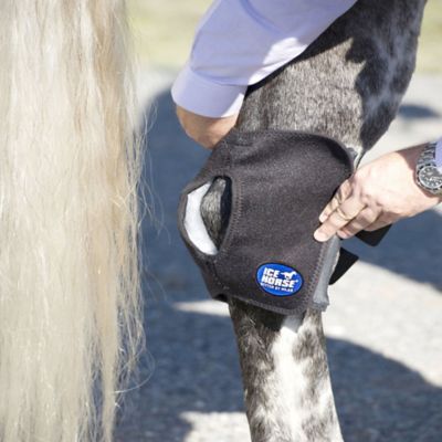 Image showing  Hock Wrap