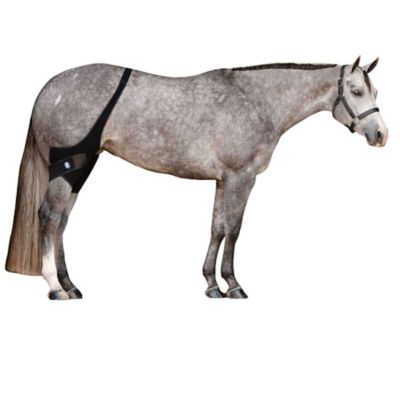 Ice Horse Stifle Wrap - Pair