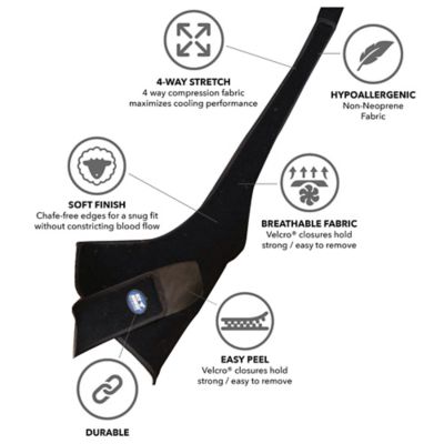 Image showing  Stifle Wrap, 2 ct.