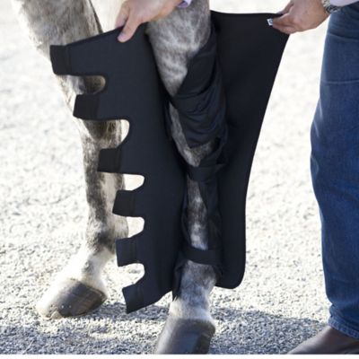 Image showing  Full Hind Leg Wraps - Pair, IH9500VX