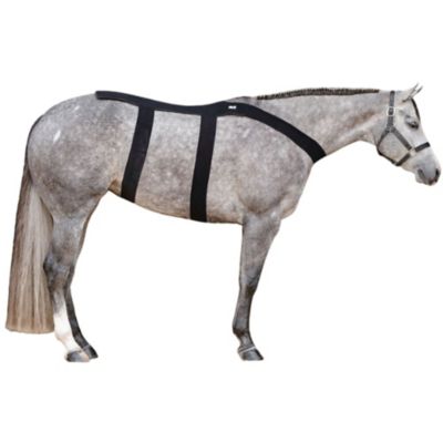 Ice Horse Back Blanket