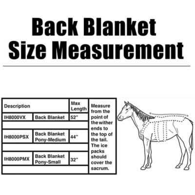 Image showing  Back Blanket