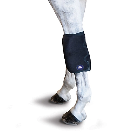 Ice Horse Horse Knee Wrap