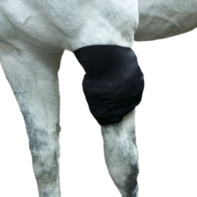 Image showing  All Purpose Horse Wrap, IH9110VX