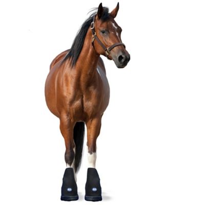 Image showing  Laminitis Pro Therapy Hoof Boot