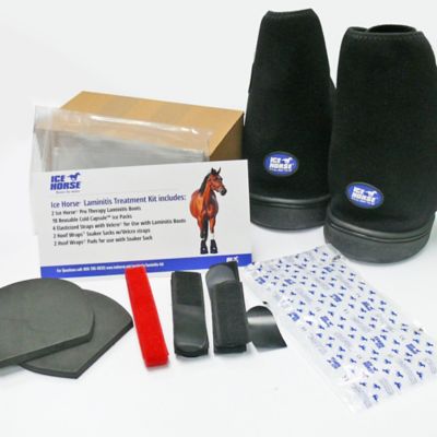 Ice Horse Laminitis Kit