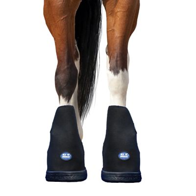 Image showing  Laminitis Kit, 2 ct.