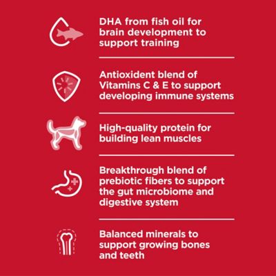 Image showing  Large Breed Puppy Lamb Meal and Brown Rice Recipe Dry Dog Food, 30 lb. Bag