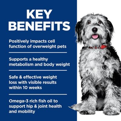 Image showing  Adult Perfect Weight and Joint Support Chicken Recipe Dry Dog Food