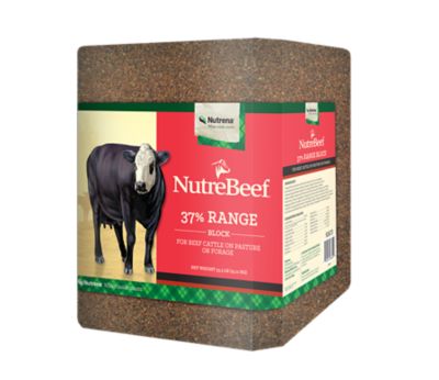 Nutrena NutreBeef 37% Range Block