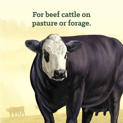 Image showing  37% Range Block