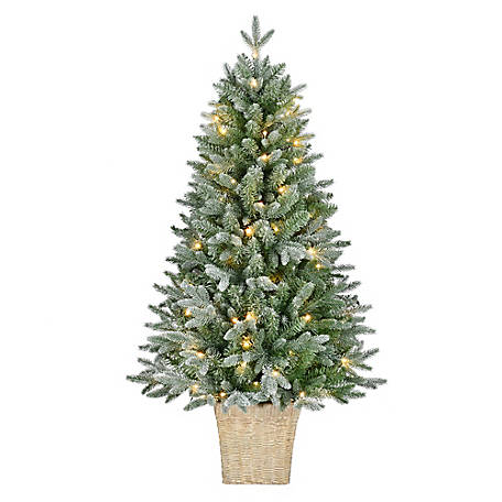 Red Shed 4.5 FT Potted Frosted Tree with 100 Warm White LEDs