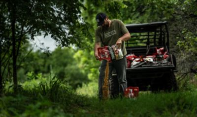 Image showing 6 th Big Tine 5 lb. Triggered Game Attractant, Cherry Flavor