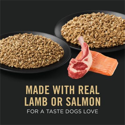 Image showing  Sensitive Skin and Stomach All Life Stages Salmon and Lamb Recipe Wet Dog Food Variety pk., 13 oz., Pack of 12