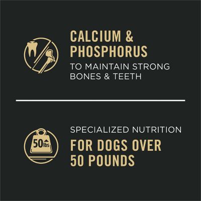 Image showing  Specialized Large Breed Chicken and Rice/Beef and Rice in Gravy High Protein Wet Dog Food Variety Pack