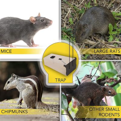 Image showing  Catch and Release Humane Animal and Rodent Cage Trap for Mice, Rats, Chipmunks, Small Squirrels and Voles