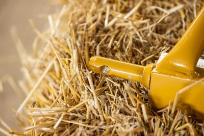 Image showing  500 lb. Boom Pole