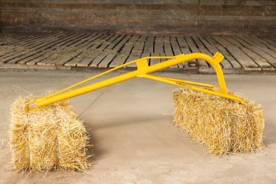 Image showing  500 lb. Boom Pole