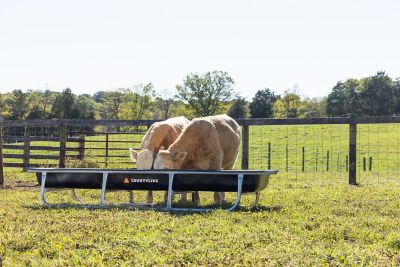 Image showing  10 ft. Galvanized Bunk Feeder, 22121798TSC