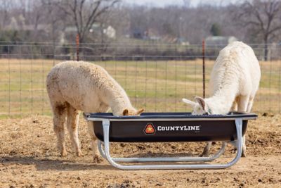 Image showing  5 ft. Galvanized Bunk Feeder, 22121758TSC