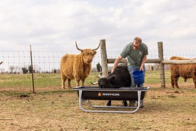 Image showing  5 ft. Galvanized Bunk Feeder, 22121758TSC