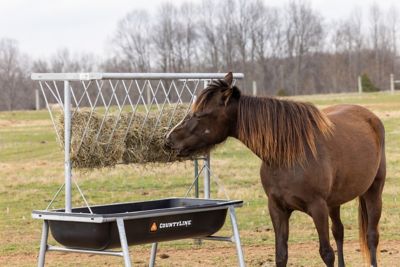 Image showing  11.25 cu. ft. Galvanized Horse Bunk Feeder, 5 ft.