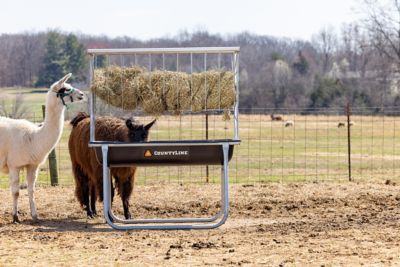 Image showing  11.25 cu. ft. Galvanized Horse Bunk Feeder, 5 ft.