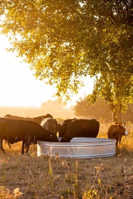 Image showing  700 gal. Galvanized Round Stock Tank, 8 ft. x 2 ft. x 8 ft.