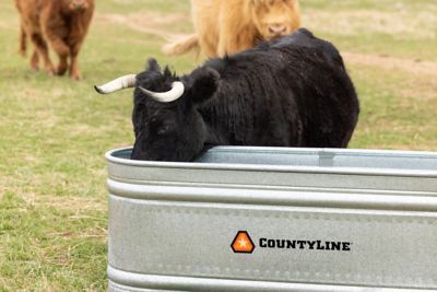 Image showing  170 gal. Oval Galvanized Stock Tank, Silver