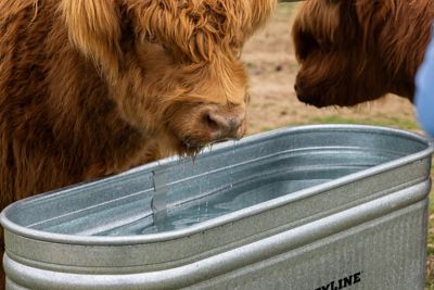 Image showing  170 gal. Oval Galvanized Stock Tank, Silver
