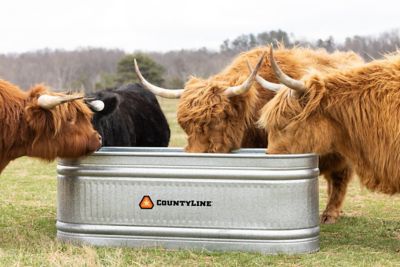 Image showing  300 gal. Galvanized Oval Stock Tank