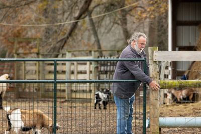 Image showing  16 ft. x 50 in. Wire-Filled Farm Gate, Green